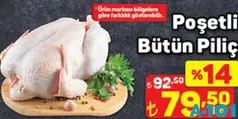 POŞETLİ BÜTÜN PİLİÇ KG